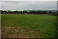 Horses at Elder Park, near Beaford