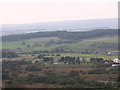 Woods, Top of  Quarlton