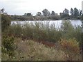 Fishing Lake,  A12 Chelmsford Bypass