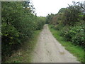 Ridgeway near Icknield House