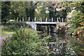 Sheerwater Bridge, Basingstoke Canal