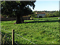 View to Old Hall Farm across cattle pastures