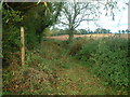 Bridleway from Boraston to Nash Court farm