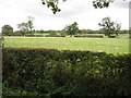 Farmland south of Myotts Wood