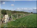 Allotment with a view