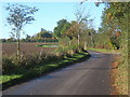 Lane towards Mickfield near Brook Farm