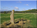 Standing stone at Bemersyde