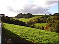 Cwm west of Plasdwpa