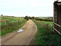 Farm track, Roger