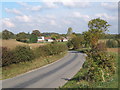 Lane towards Brook Farm