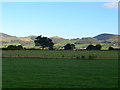 Farmland, Ruthin