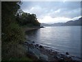 Shore of Loch Duich