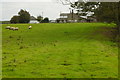NZ1084 : Howlett Hall Farm from the north by Mac McCarron