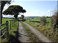 Road to Porth-y-morddwr