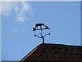 Horse and dog weather vane