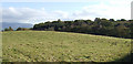 View over Tredurn Wood