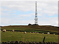 Mast near Sir William Hill Road