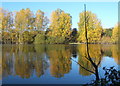 Looking across Alton Water in autumn