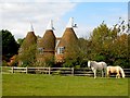 TQ7826 : Oast House by Oast House Archive