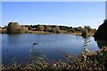 TL8070 : Lackford Lakes Nature Reserve by Bob Jones