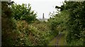 A Cornish Mining Walk