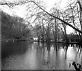 Leigh Place Pond, Godstone, Surrey