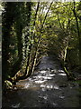 River Inny near Trefrize Mill