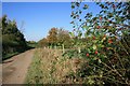 Public Bridleway Near Brookside