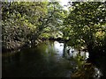 River Inny below Trekelland Bridge