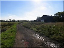 TL1788 : Track to Caldecote Dyke Farm by Andrew Tatlow