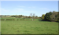 Pasture land north of the Wye