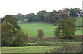 SJ9553 : Grazing Land, Denford, Staffordshire by Roger  D Kidd