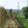 SJ9453 : Disused Railway Line, near Denford, Staffordshire by Roger  D Kidd