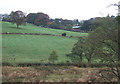 Grazing Land  near Stockton Brook, Staffordshire