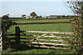 Newton St Petrock: towards Downmoor Cross