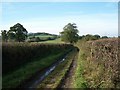 Near Leigh: Bound Lane, late October