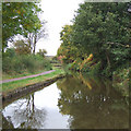 Caldon Canal, Abbey Hulton, Staffordshire