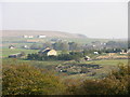 Crowthorn from the Naze