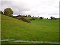 Pasture near Aberbechan Hall