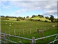 SO1195 : Conical hill near Pontyperchill Farm by Penny Mayes