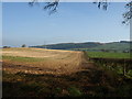 Harvested field at Supplebank Farm