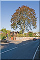 Police Station Lane, Droxford