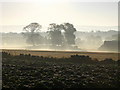 NT5374 : Morning mist at Abbeymill Farm, Haddington by Lisa Jarvis