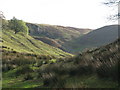 Cleugh near The Bog Farm