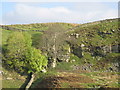 Old quarry near The Bog Farm