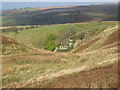 Cleugh above The Bog Farm