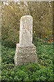 TF2614 : St.Guthlac's Cross by Richard Croft