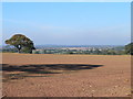 Another ploughed field