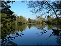 Birchgrove Pool, near Marton