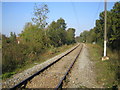 How Wood: Railway line to St Albans Abbey